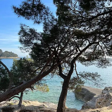 Holiday home Domus Maria With Swimming Pool And Free Parking